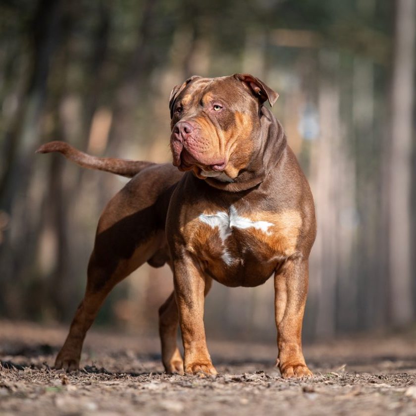 6661486d-e546-4945-a3d3-4428f989e473