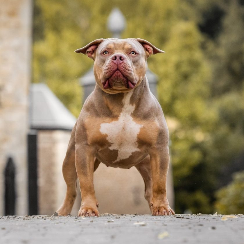 978eb415-9f05-4c58-bb9d-5c62f81776a2